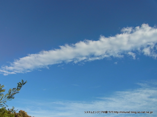 秋刀魚雲。と勝手に命名。